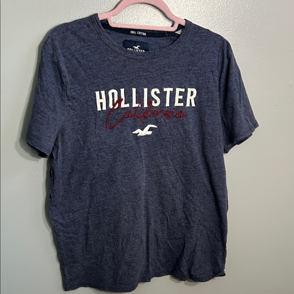 Hollister California Navy Tee